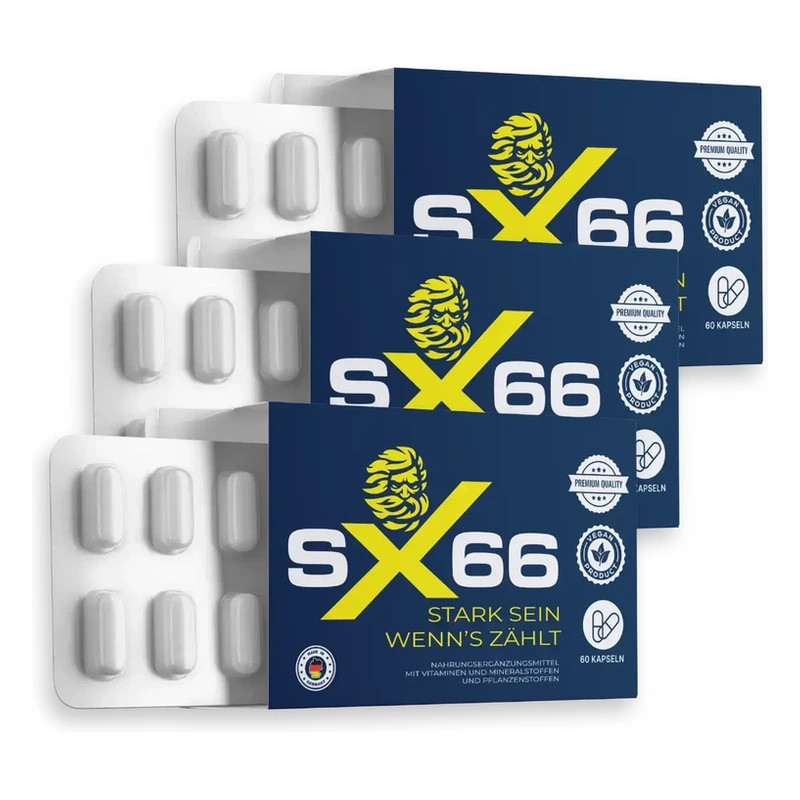 Sx66